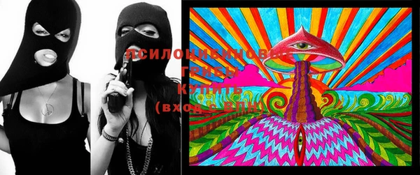 прущие крисы Переславль-Залесский