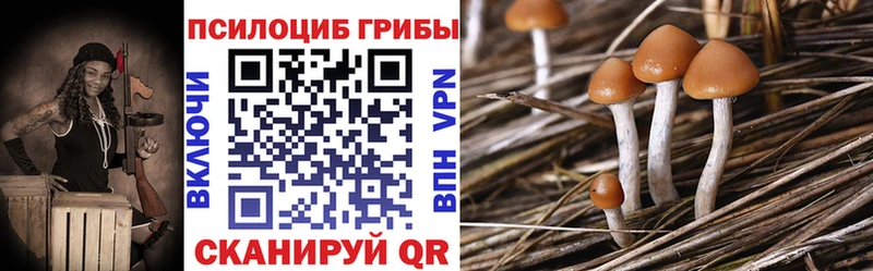 Купить закладки  Чудово  Галлюциногенные грибы MAGIC MUSHROOMS 